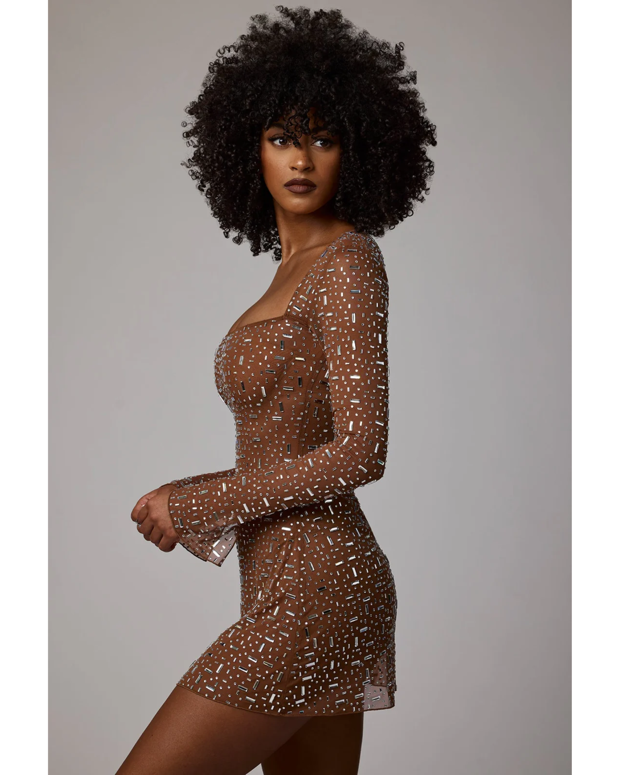 Zeta Sheer Embellished Long Sleeve A-Line Mini Dress in Mocha - Endless - UAE Rental and Resale for Women's Fashion