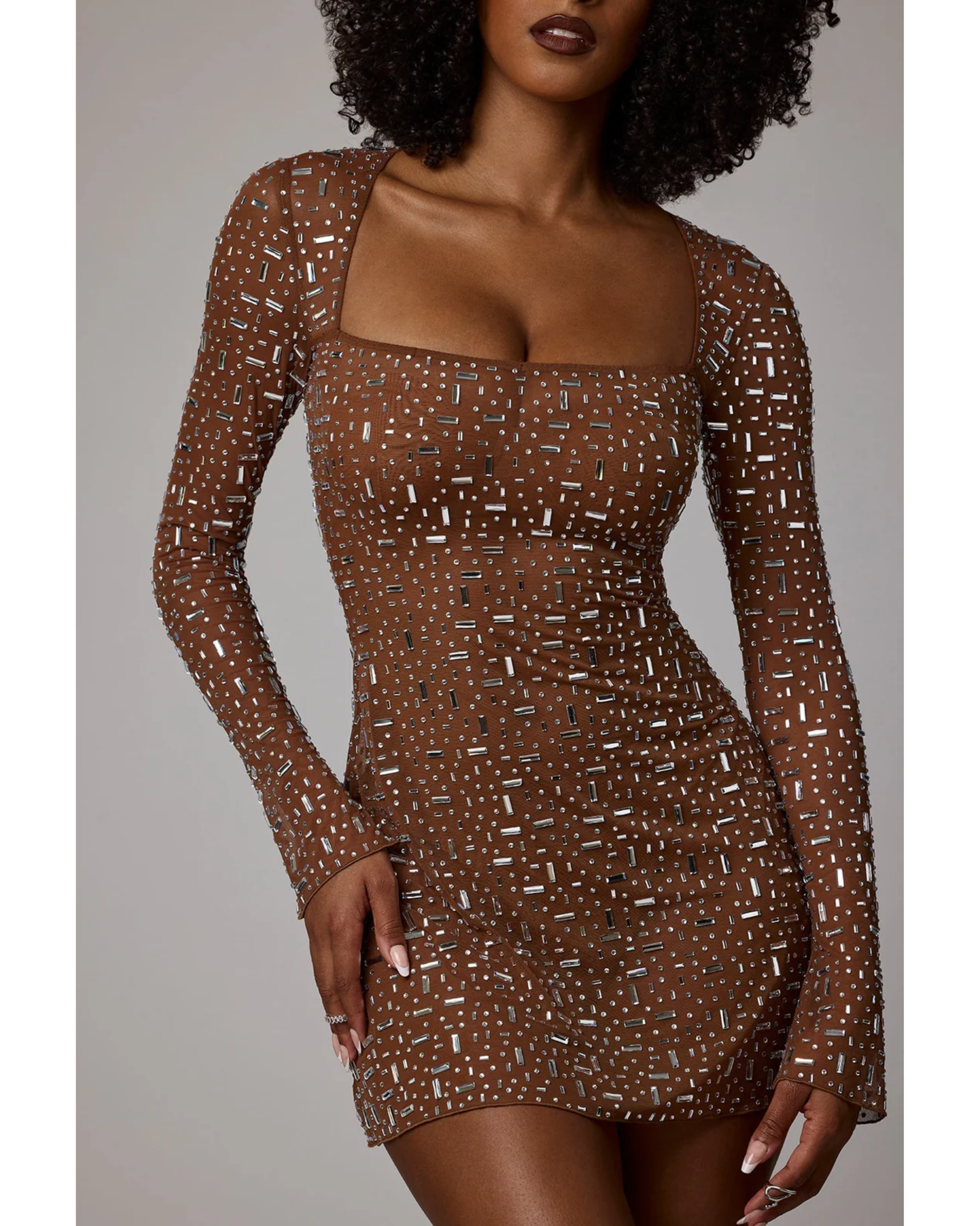 Zeta Sheer Embellished Long Sleeve A-Line Mini Dress in Mocha - Endless - UAE Rental and Resale for Women's Fashion