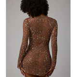 Zeta Sheer Embellished Long Sleeve A-Line Mini Dress in Mocha - Endless - UAE Rental and Resale for Women's Fashion