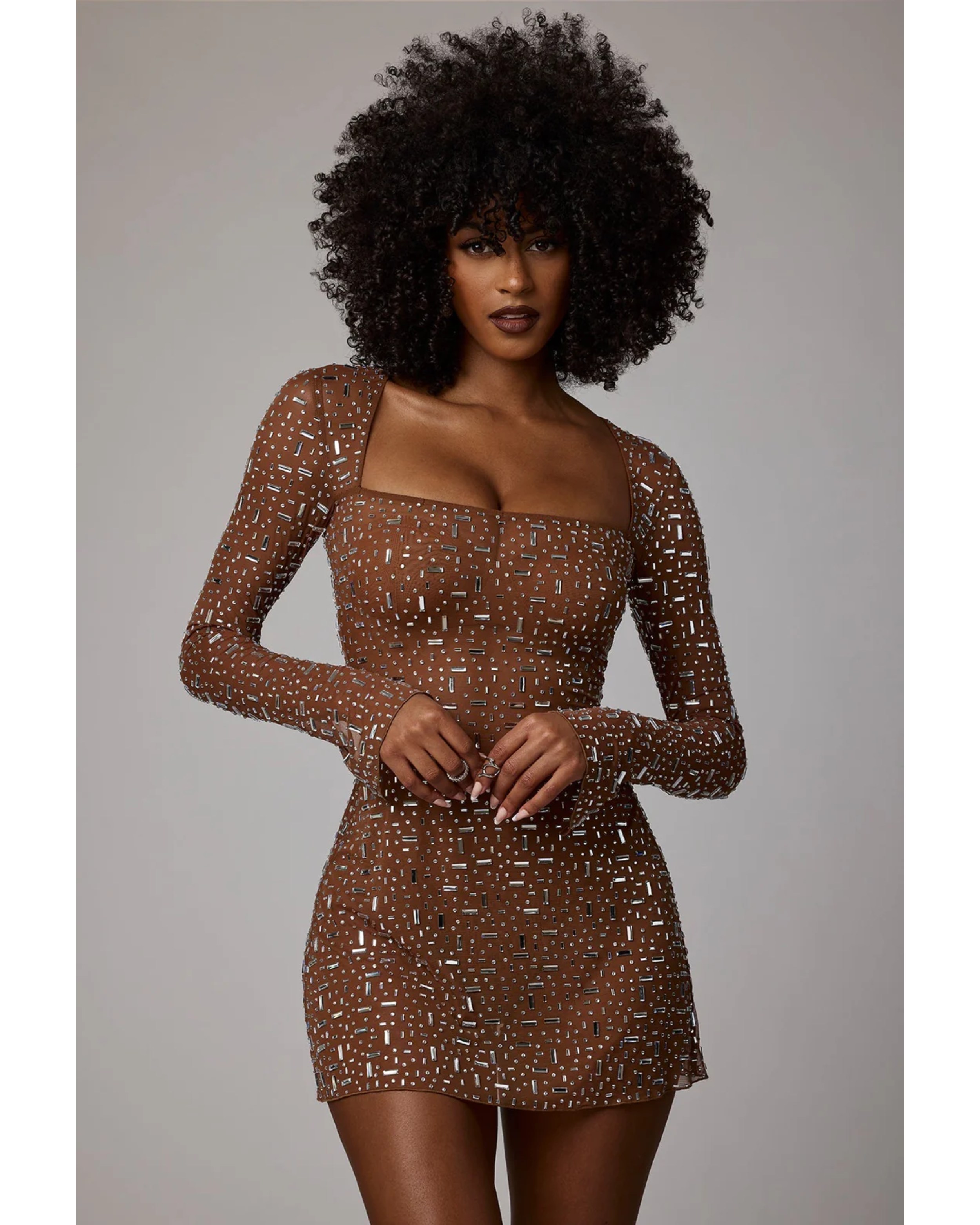Zeta Sheer Embellished Long Sleeve A-Line Mini Dress in Mocha - Endless - UAE Rental and Resale for Women's Fashion